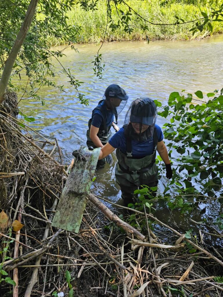 Madblue Limpieza de ríos
